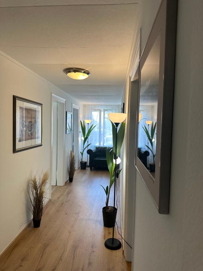 Ntn House Bed & Breakfast St. Gallen Dış mekan fotoğraf