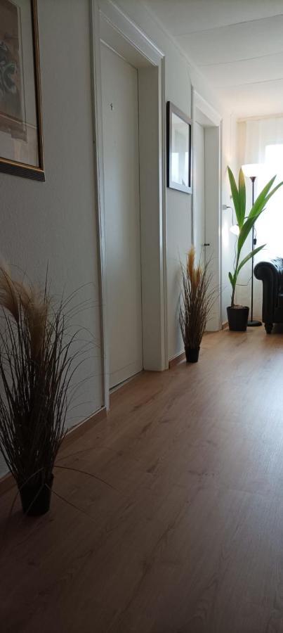 Ntn House Bed & Breakfast St. Gallen Dış mekan fotoğraf